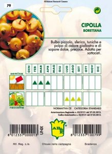 CIPOLLA Piatta di Como per sott'aceto