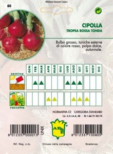 CIPOLLA Rossa di Tropea (semina estiva)