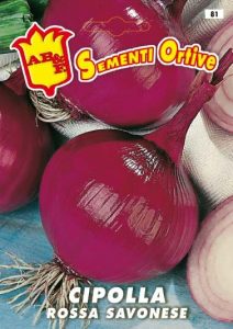 CIPOLLA Rossa di Genova (semina estiva)