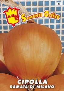 CIPOLLA Ramata di Milano (semina primaverile)