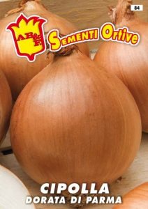 CIPOLLA Dorata di Parma (semina primaverile)