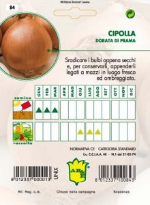 CIPOLLA Dorata di Parma (semina primaverile)
