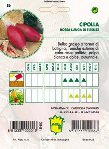 CIPOLLA Rossa fiasco di Firenze (semina estiva)