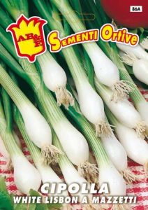 CIPOLLA White Lisbon a mazzetti