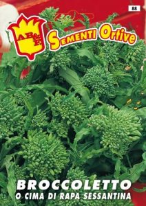 CIMA DI RAPA Sessantina