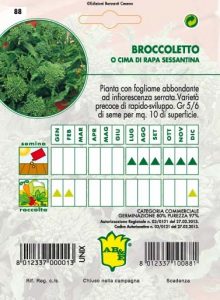 CIMA DI RAPA Sessantina