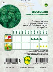 CIMA DI RAPA Quarantina