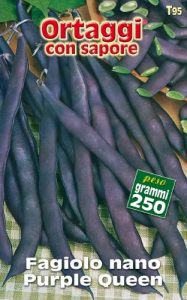 FAGIOLO NANO Viola