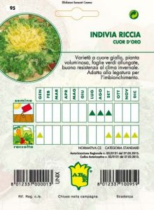 INDIVIA RICCIA Cuor d'Oro