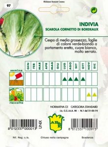 INDIVIA SCAROLA Cornetto di Bordeaux