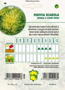 INDIVIA SCAROLA Bionda a cuore pieno