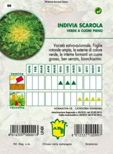 INDIVIA SCAROLA Verde a cuore pieno