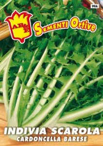 INDIVIA SCAROLA Cardoncella Barese