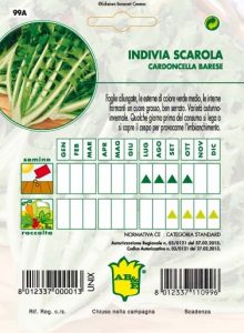 INDIVIA SCAROLA Cardoncella Barese
