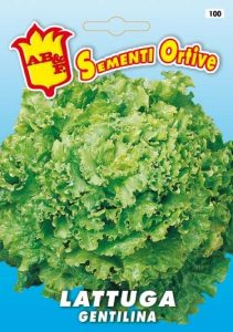 LATTUGA DA TAGLIO Gentilina