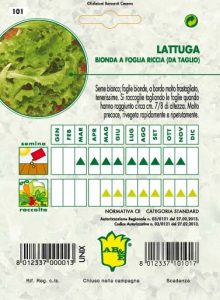 LATTUGA DA TAGLIO Bionda riccia