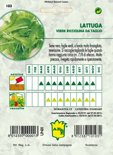 LATTUGA DA TAGLIO Verde riccia