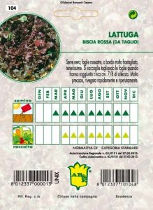 LATTUGA DA TAGLIO Rossa riccia