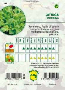 LATTUGA White Salad Bowl