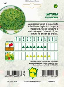 LATTUGA Lollo verde