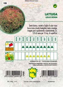 LATTUGA Lollo rossa