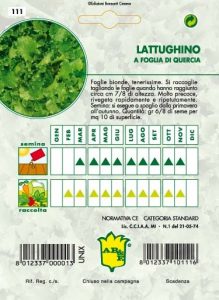 LATTUGA Foglia di quercia