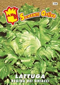 LATTUGA CAPPUCCIO Regina dei Ghiacci