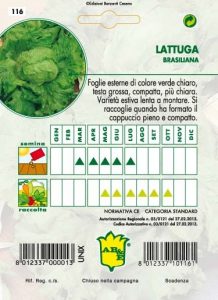 LATTUGA CAPPUCCIO Brasiliana