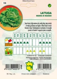 LATTUGA CAPPUCCIO Regina di Maggio