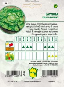LATTUGA CAPPUCCIO Verde d'Inverno