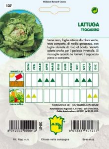 LATTUGA CAPPUCCIO Trocadero