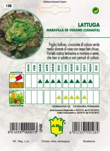 LATTUGA CAPPUCCIO Meravilla de Verano (Canasta)