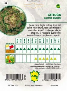 LATTUGA CAPPUCCIO Quattro Stagioni