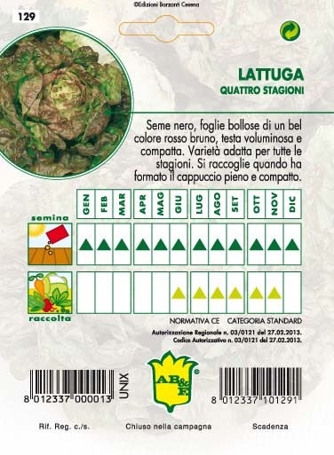 LATTUGA CAPPUCCIO Quattro Stagioni