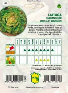 LATTUGA CAPPUCCIO Bruna di Germania