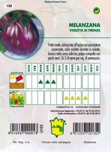 MELANZANA Violetta di Firenze