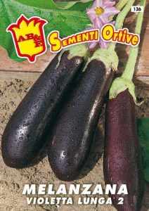 MELANZANA Violetta lunga