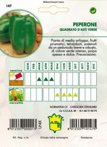 PEPERONE Quadrato verde