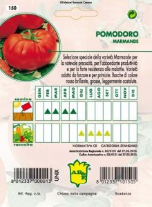POMODORO Precoce Marmande