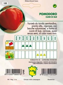 POMODORO Cuor di Bue