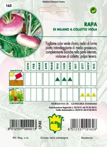 RAPE DA MENSA di Milano collo viola