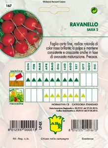 RAVANELLO Rosso Saxa 2