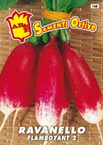 RAVANELLO Mezzo lungo punta bianca (oliva)