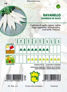 RAVANELLO Candela di Giaccio