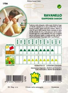 RAVANELLO Daikon