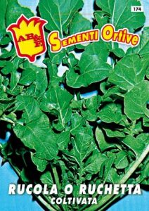 RUCOLA Coltivata