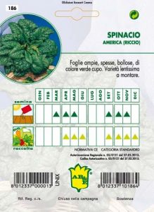SPINACIO Riccio America (prod. Danimarca)