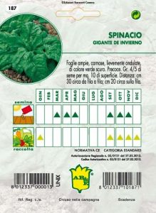SPINACIO Gigante d'Inverno (prod. Danimarca)