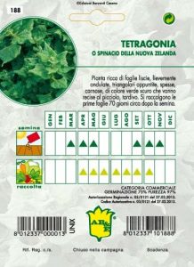 SPINACIO Tetragonia o Nuova Zelanda