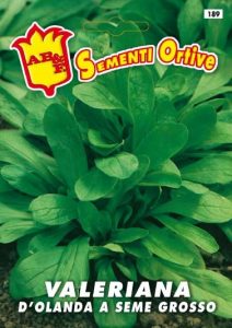 VALERIANA d'Olanda seme grosso (prod. Olanda)